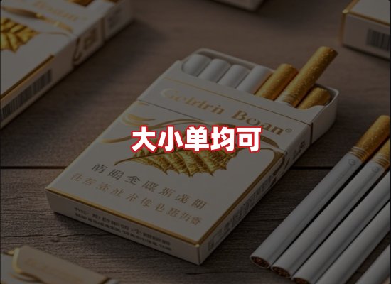 专业团队